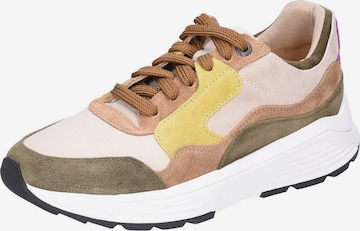 Xsensible Sneaker 'Golden Gate' in Mischfarben: Vorderseite