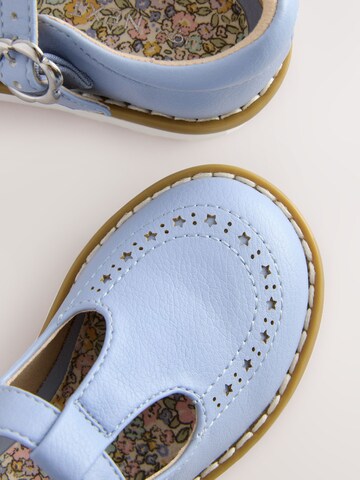 Next Ballerina's in Blauw