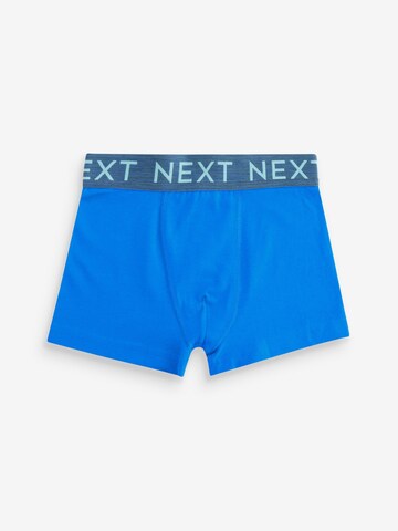 Next Underbukser i blå