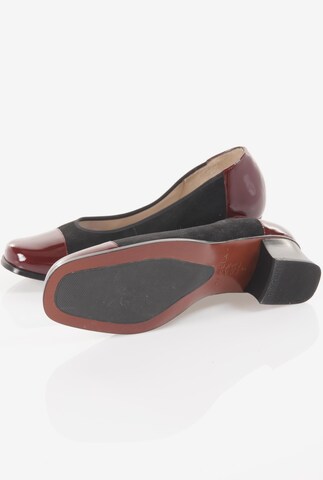 HASSIA Flats & Loafers in 40,5 in Black