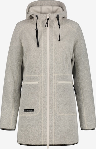 ICEPEAK Fleece Jacket in Grey: front