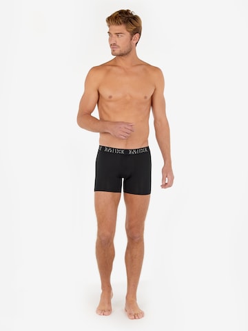 HOM Boxer shorts 'Patrick' in Grey: front