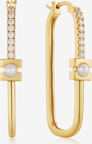 ANIA HAIE Earrings in Gold: front