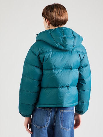 Calvin Klein Jeans Winter Jacket 'Essential' in Green