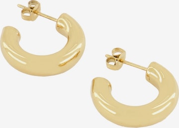 My Jewellery Earrings in Gold