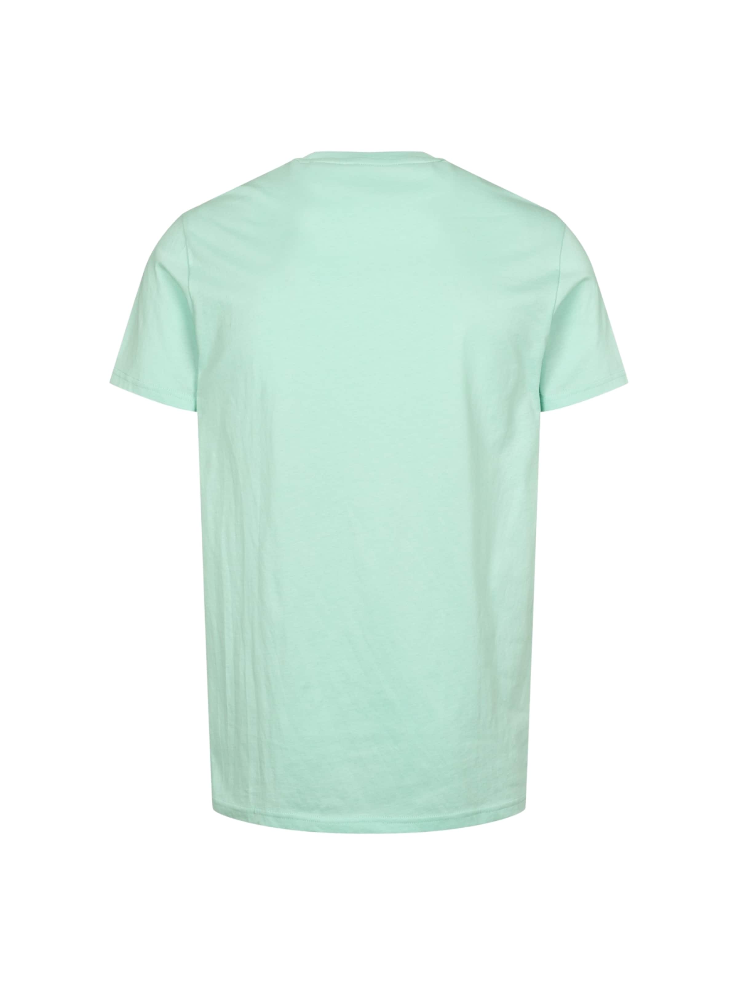 U.S. POLO ASSN. Regular Fit Bluser & t-shirts 'Arjun' i grøn