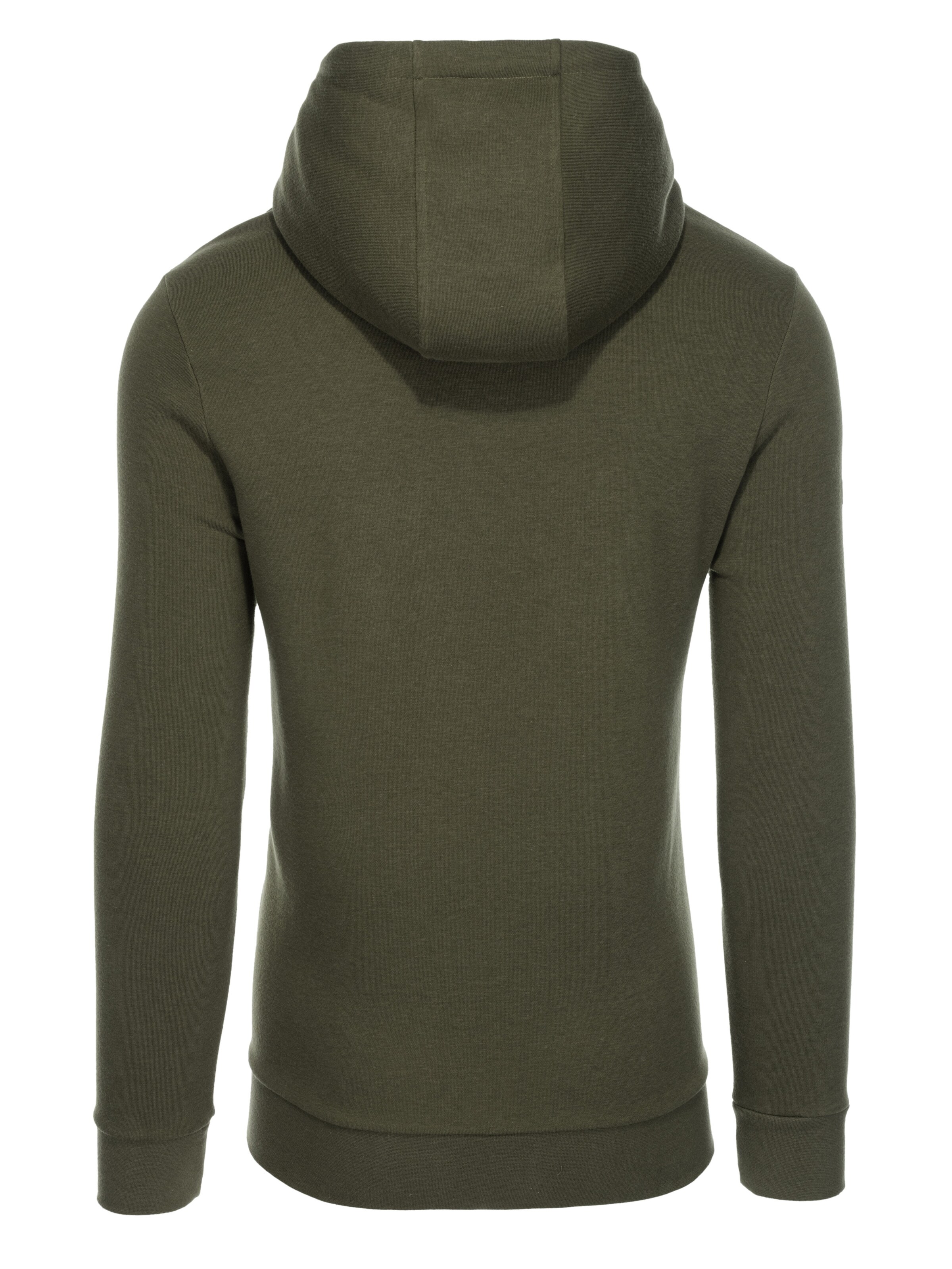 Ombre Sweatshirt 'SSNZ-22FW-006' in Grün