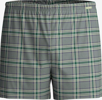 CALIDA Boxer shorts 'Prints' in Green: front