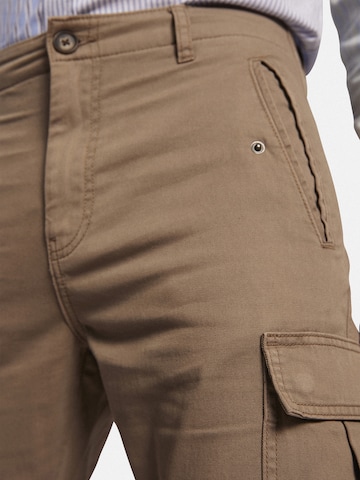 Redefined Rebel Regular Cargohose 'RRPLJolan' in Braun