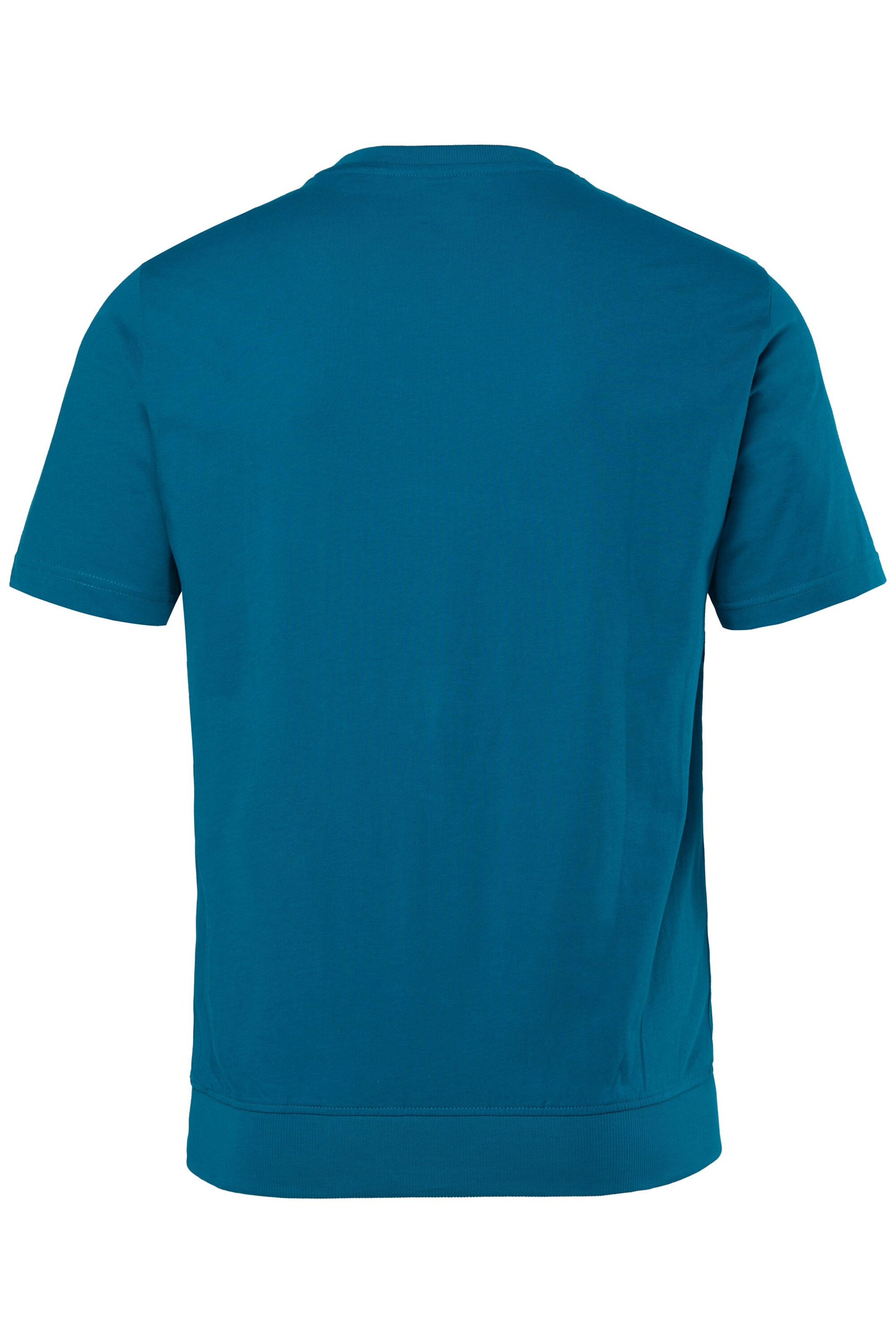 Men Plus Shirt in Blau
