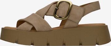 Sandales GABOR en marron : devant