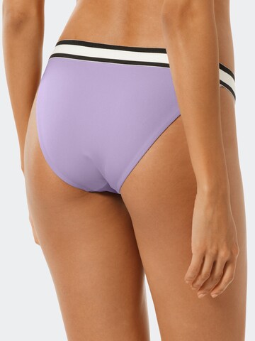 SCHIESSER Bikini Bottoms ' Aqua Californian Dream ' in Purple