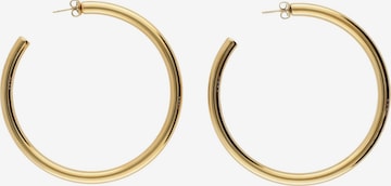 My Jewellery Ohrringe in Gold: Vorderseite