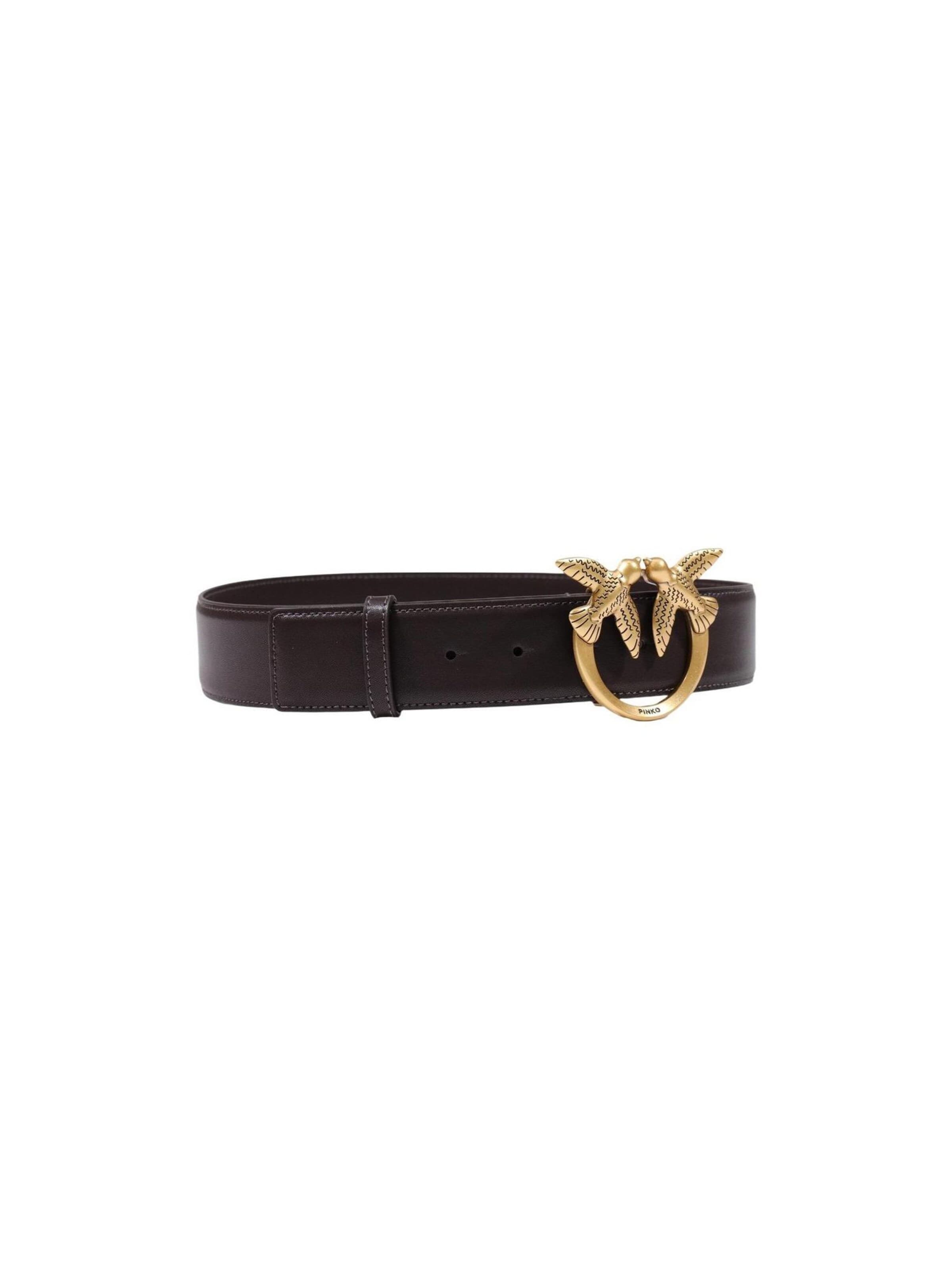 PINKO Riem 'ALTA LOVE BIRDS IN PELLE' in Bruin