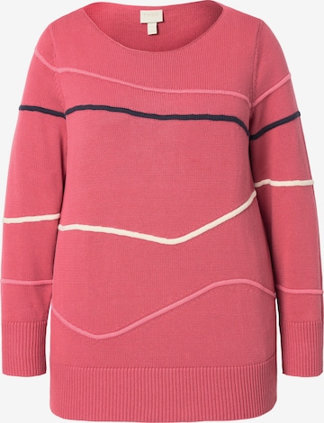 Ulla Popken Pullover in Pink: Vorderseite