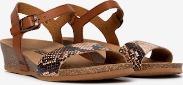 Bayton Sandal 'Wodonga' i brun
