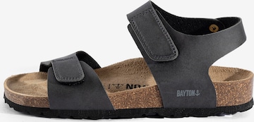 Bayton Avonaiset kengät 'Ulys' värissä harmaa: etupuoli