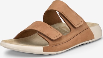 ECCO Pantolette in Braun: Vorderseite