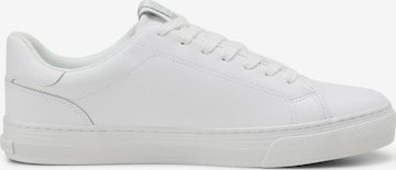 Baskets basses Marc O'Polo en blanc