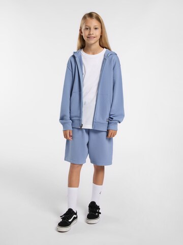 DICKIES Regular Trousers 'MAPLETON' in Blue