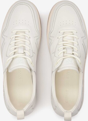 Kazar Studio Sneakers in White