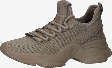 Sneaker bassa di STEVE MADDEN in grigio: frontale