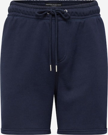 Cotton On Shorts in Blau: predná strana
