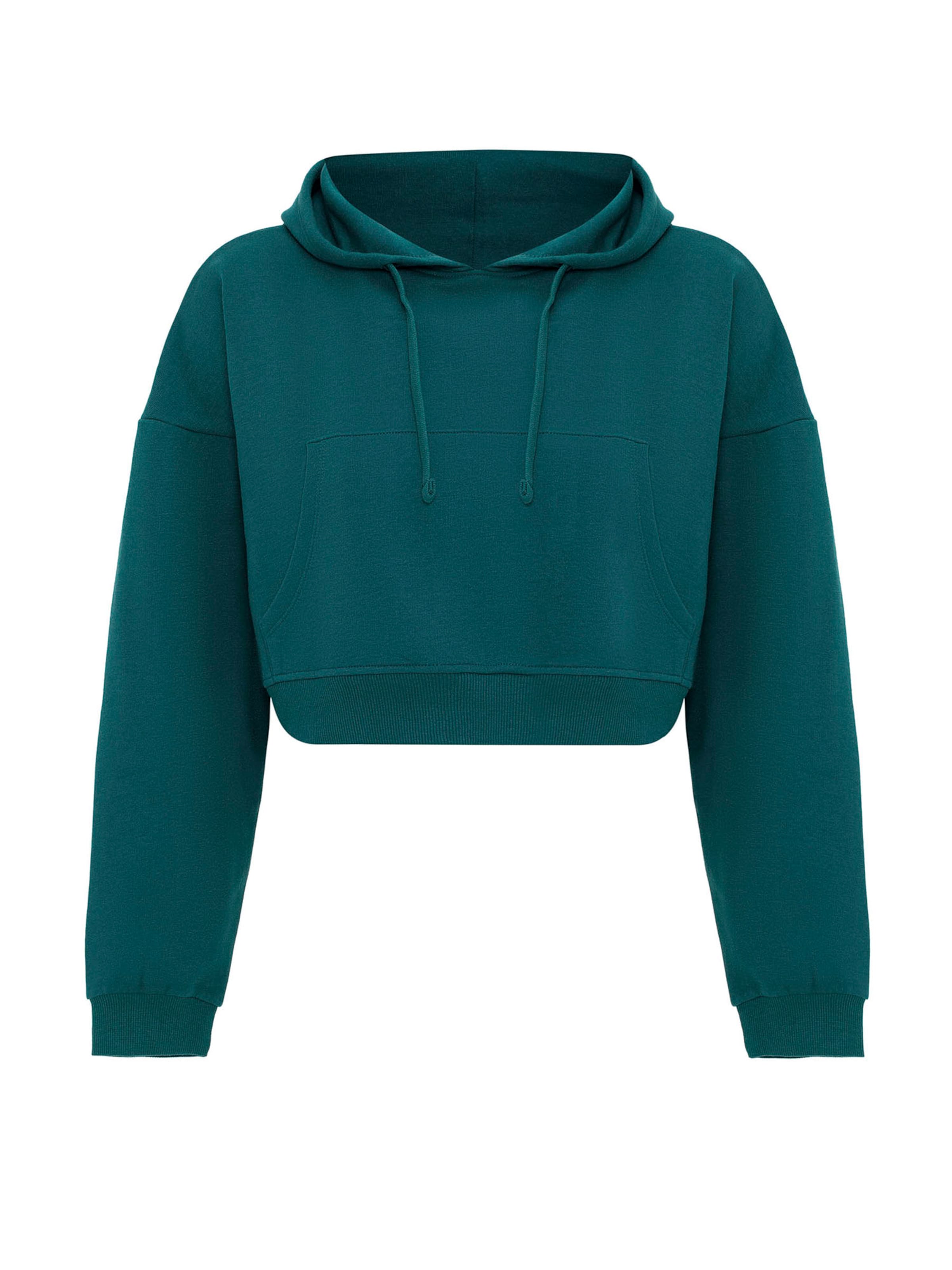 Jacey Quinn Sweatshirt in Green: front