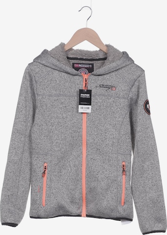 Geographical Norway Kapuzenpullover S in Grau: predná strana