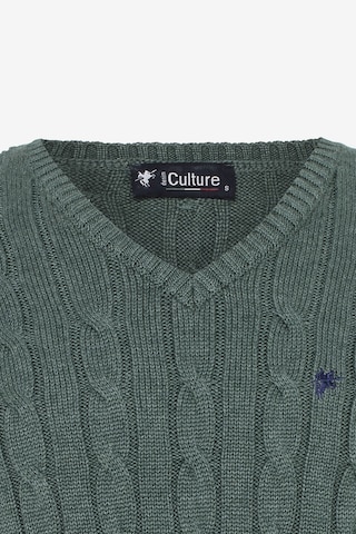 DENIM CULTURE Sweter 'Maurizio' w kolorze zielony
