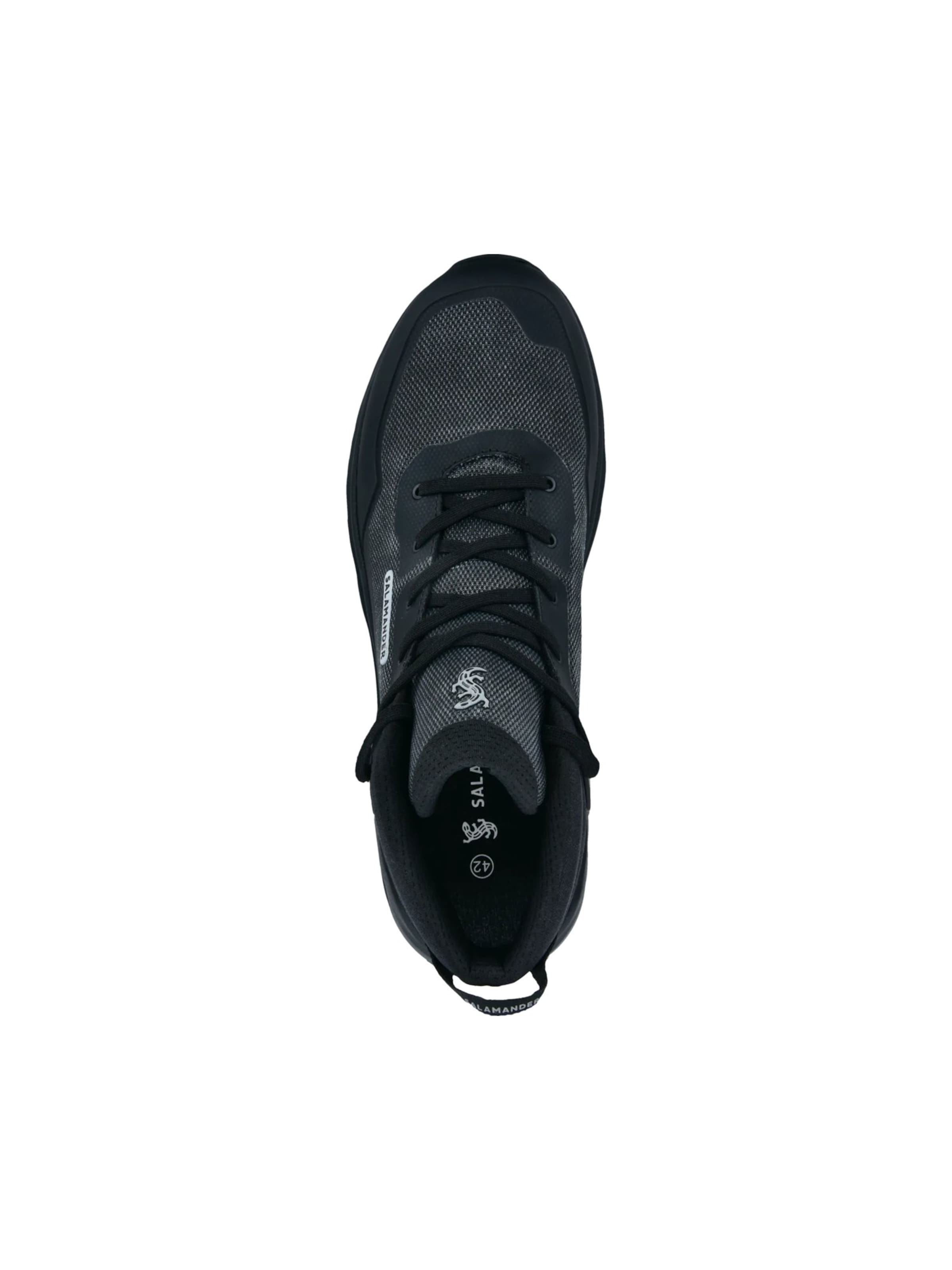 SALAMANDER Låg sneaker i svart