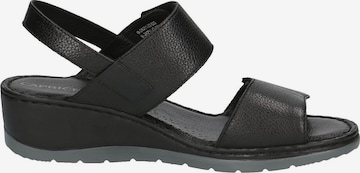 CAPRICE Sandals in Black