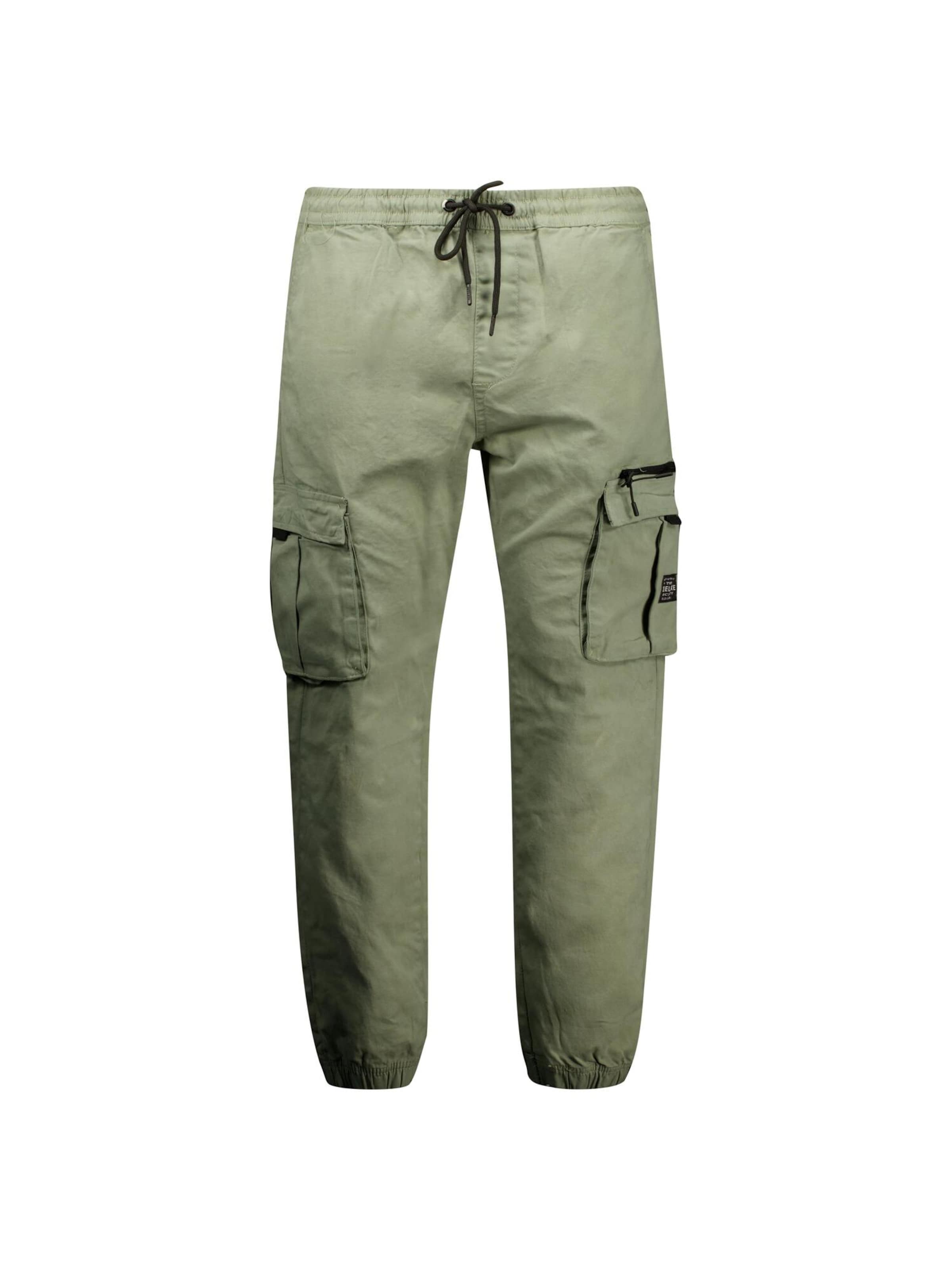 Effilé Pantalon cargo 'Monroe' Deeluxe en vert : devant