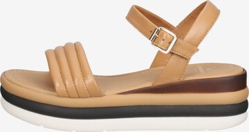 SANSIBAR Strap Sandals in Brown