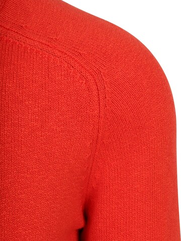 Steppin' out Pullover‌‌‌‌‌‌‌‌‌ in Rot