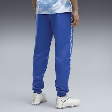 PUMA Regular Hose in Blau