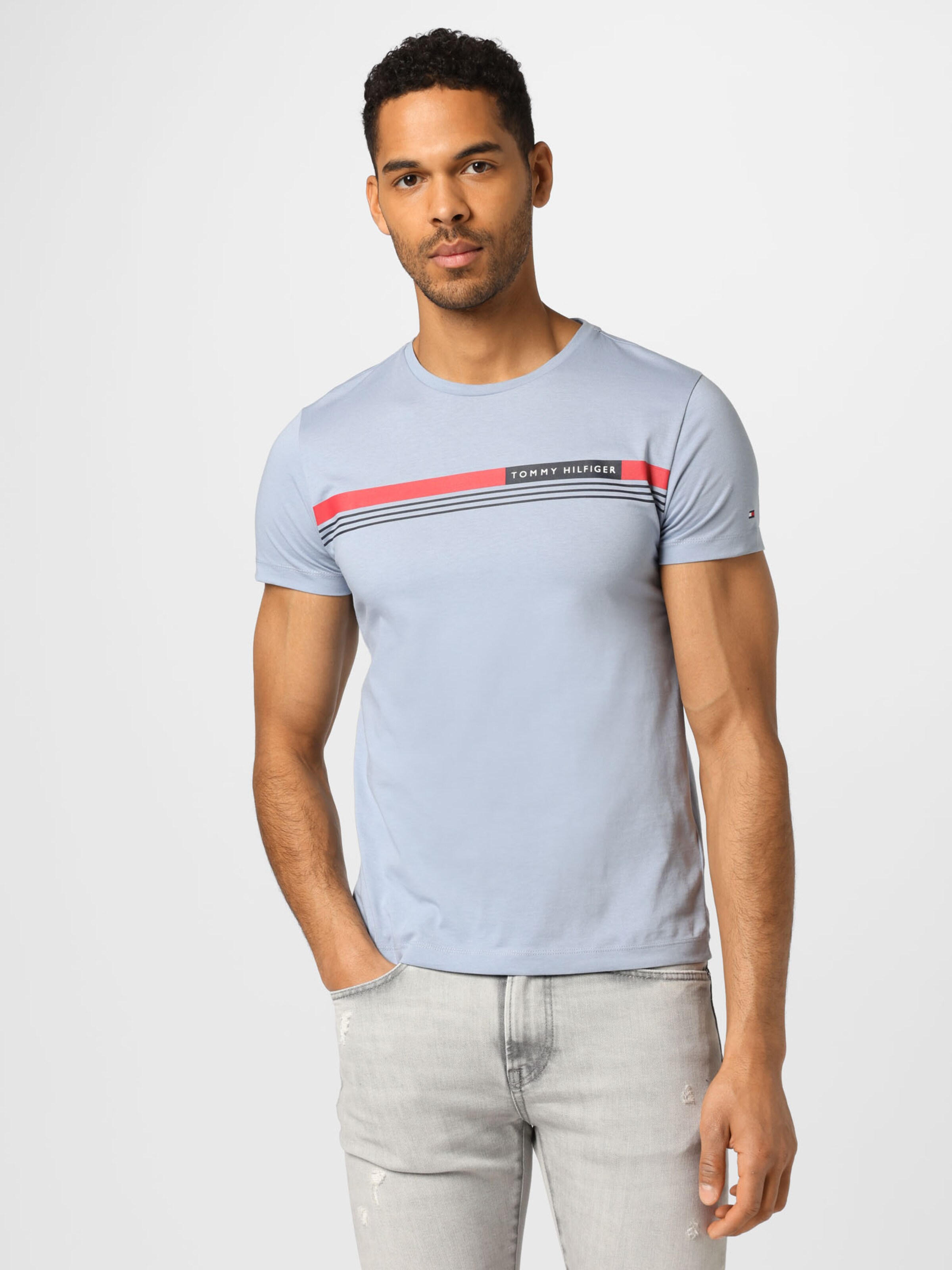 tommy hilfiger t shirts men