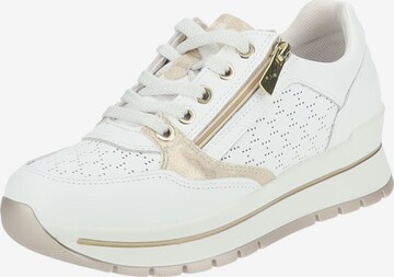 Baskets basses IGI&CO en blanc : devant