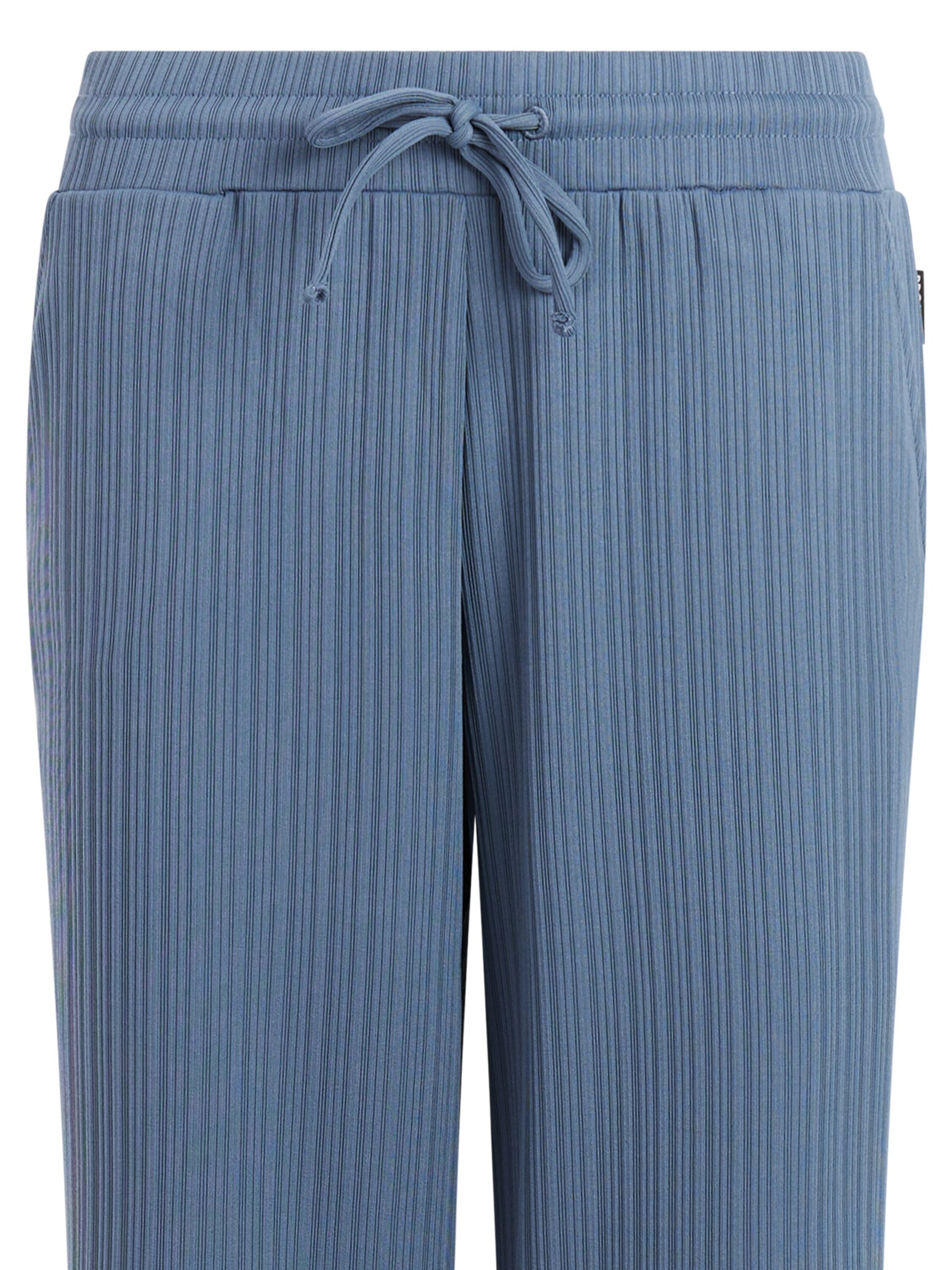 PROTEST Regular Pants 'PRTCommon' in Blue