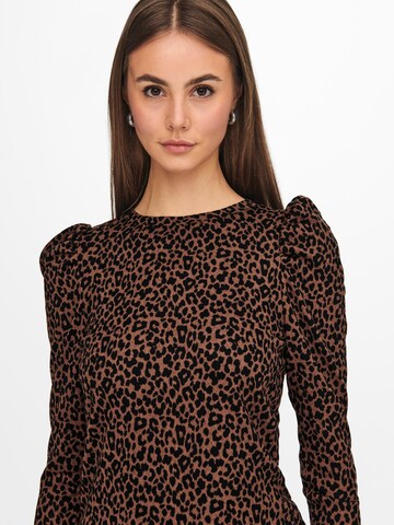 JDY Shirt 'Tonsy' in Braun