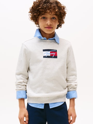 Felpa di TOMMY HILFIGER in grigio: frontale