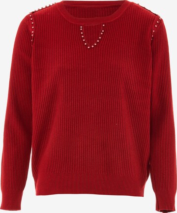 LEOMIA Sweater in Red: front