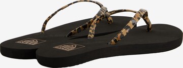 REEF Beach & Pool Shoes ' Bliss Nights ' in Brown