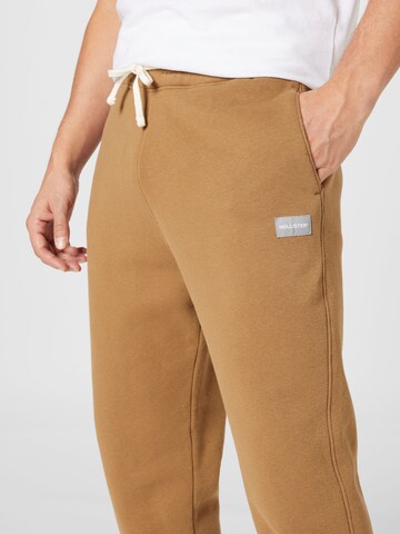 HOLLISTER Regular Pants in Brown