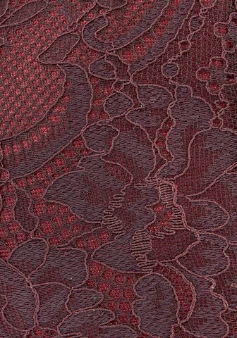 Bustino Reggiseno di LASCANA in lilla