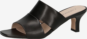 CAPRICE Mules in Black: front