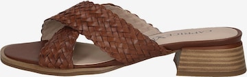 CAPRICE Mules in Brown