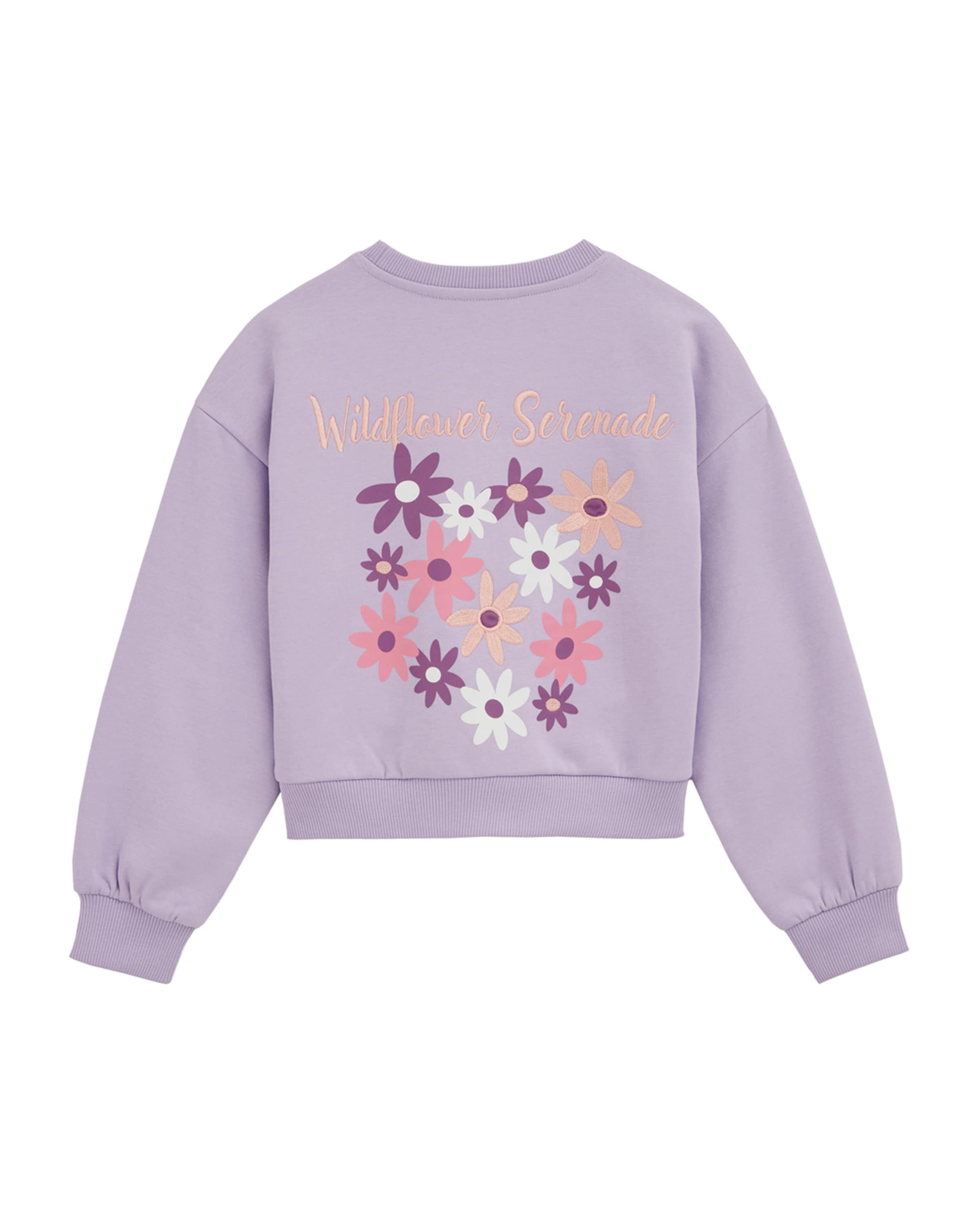 WE Fashion Sweatshirt i lila