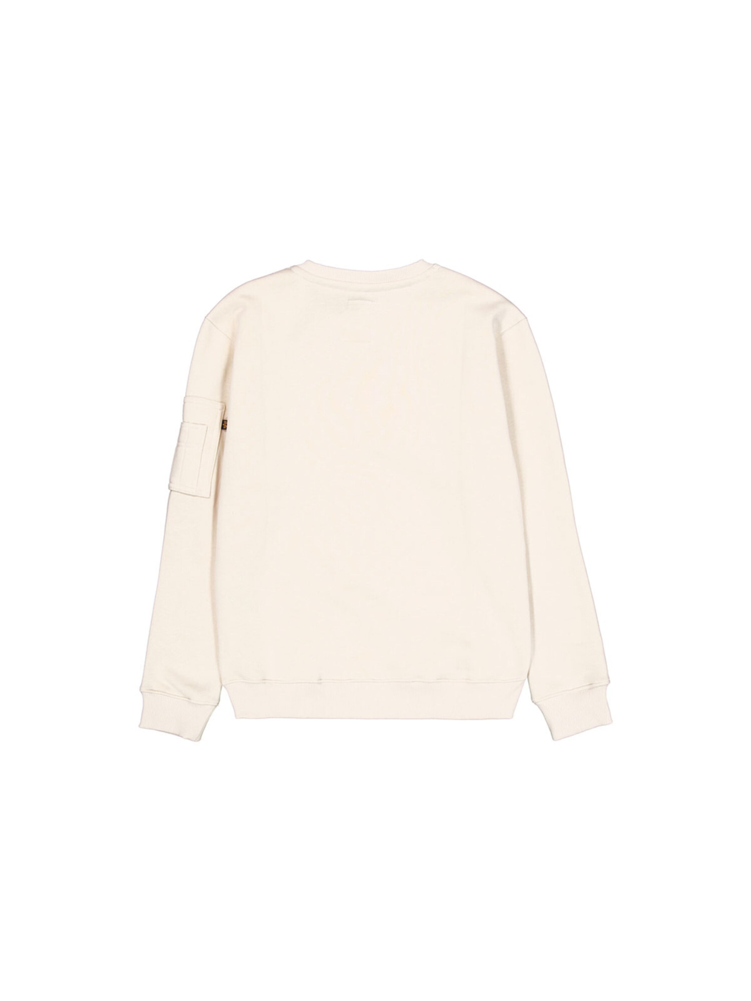 ALPHA INDUSTRIES Sweatshirt 'RP' in White