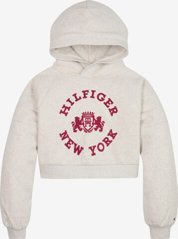 TOMMY HILFIGER Sweatshirt in Grau: predná strana